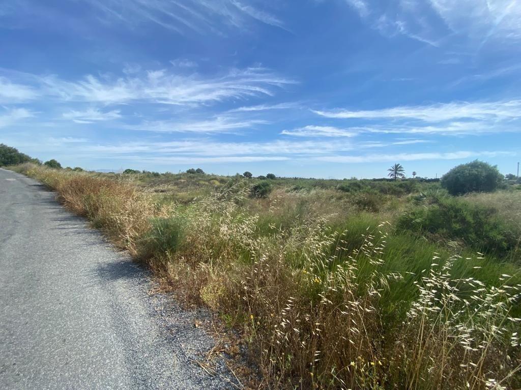 Terreno rural